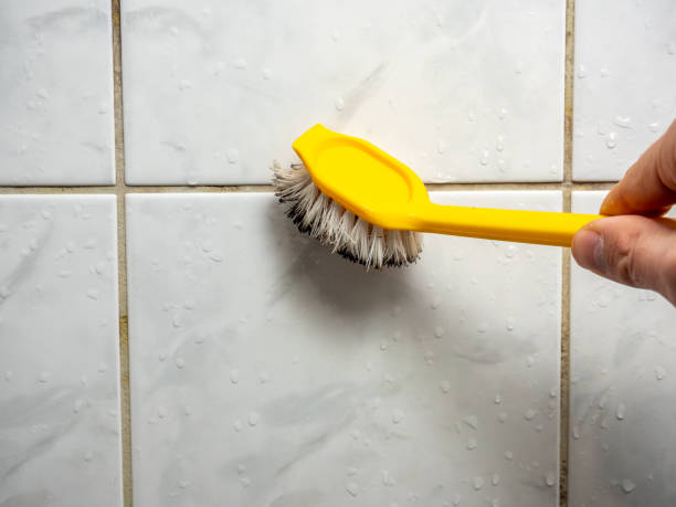Best Fast Mold Removal  in Bowdon, GA