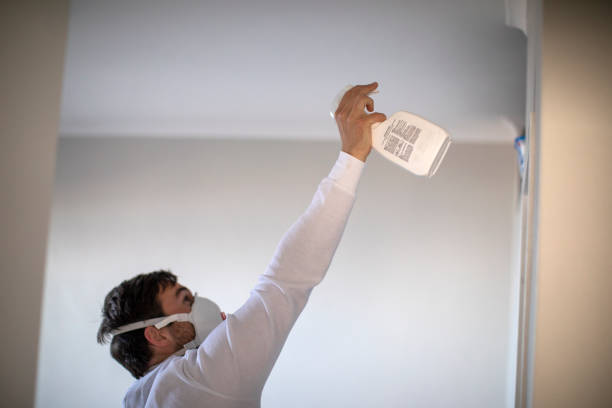 Best Certified Mold Removal  in Bowdon, GA