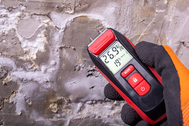Best Mold Remediation Experts  in Bowdon, GA