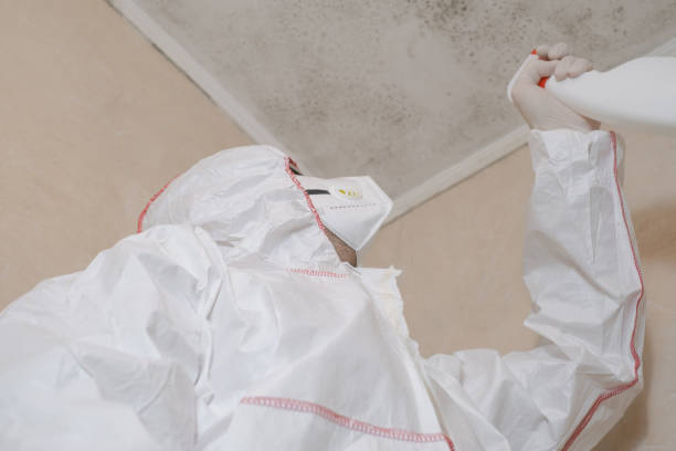Best Home Mold Removal  in Bowdon, GA