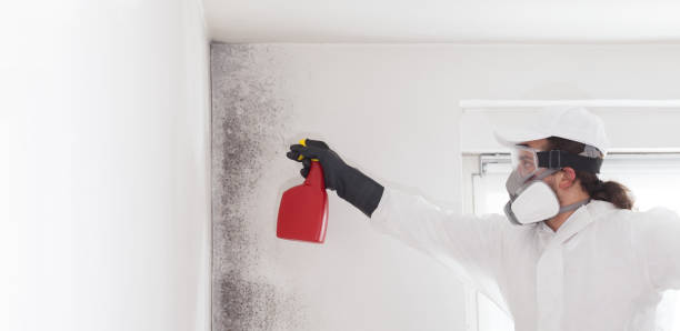 Best Crawl Space Mold Removal  in Bowdon, GA