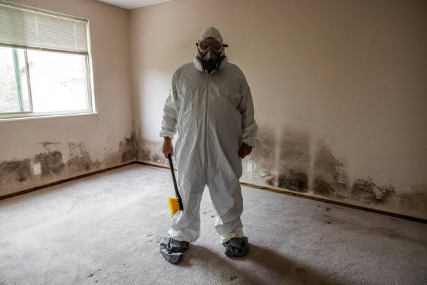 Best Office Mold Removal Services  in Bowdon, GA